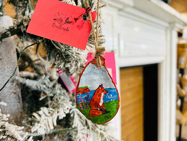 brackley-beach-2025-4